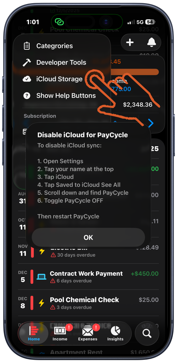 Privacy & iCloud Sync